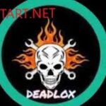 Deadlox Injector APK