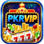 PKR VIP game